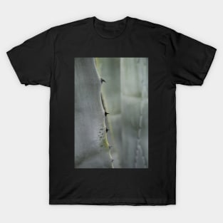 Agave detail T-Shirt